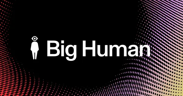 Big Humman - Dashboard Design Agency