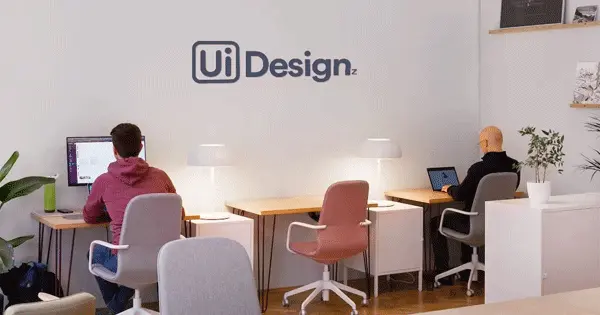 UIDesignz - Website Design and Development Company